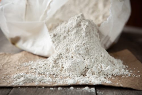 What is Diatomaceous Earth