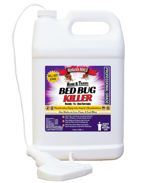 Bed Bug Treatment