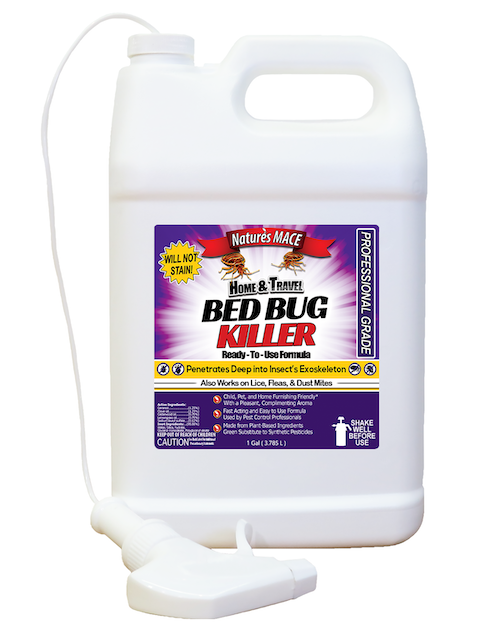 What Kills the Eggs of Bed bugs