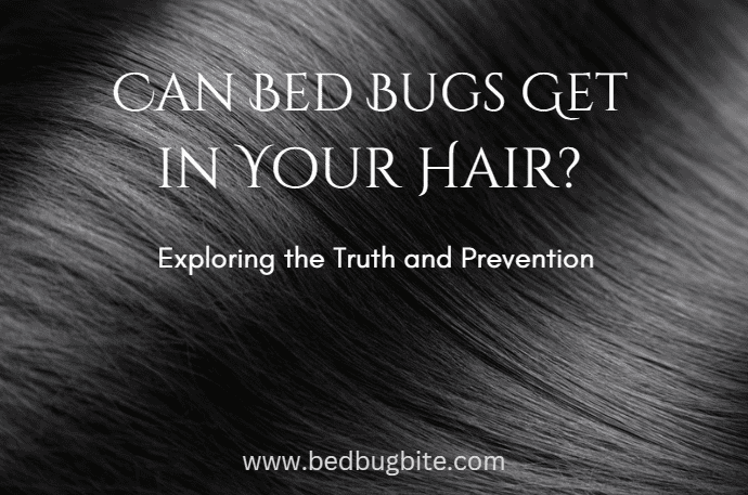 can bed bugs get in your hair