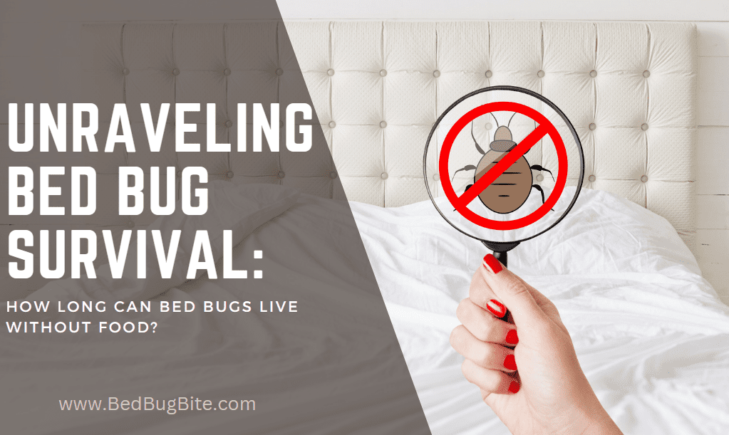 Unraveling Bed Bug Survival: How Long Can Bed Bugs Live Without Food?