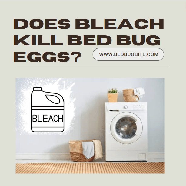 Does Bleach kill Bed Bug Eggs cover