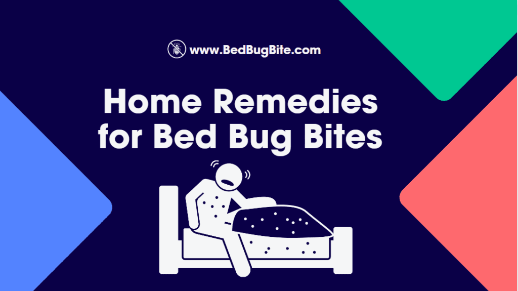 Home Remedies for Bed Bug Bites