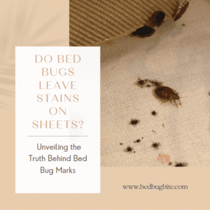Do Bed Bugs Leave Stains On Sheets