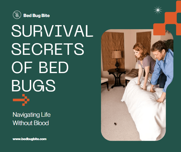 Survival Secrets of Bed Bugs
