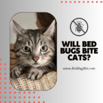Will Bed Bugs Bite Cats