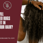 Will Bed Bugs Get in Your Hair 