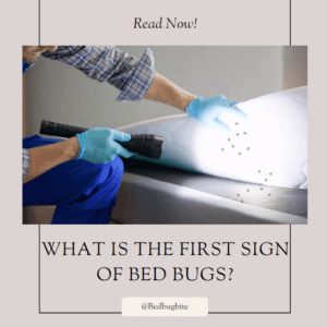 What is the First Sign of Bed Bugs