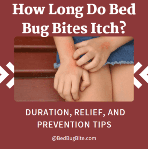 How Long Do Bed Bug Bites Itch
